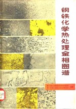 钢铁化学热处理金相图谱