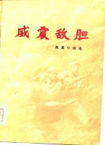 威震敌胆-短篇小说选