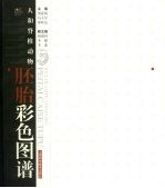 人和脊椎动物胚胎彩色图谱  中英文本