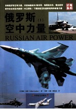 <em>俄</em>罗斯空中力量  1