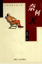 中国反腐小说大系  奈何天