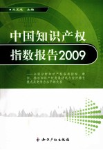 中国知识产权指数报告  2009