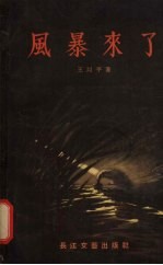 风暴来了  短篇小说集