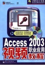 Access 2003职业应用视频<em>教程</em>
