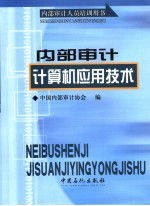 内部<em>审计</em>计算机应用技术