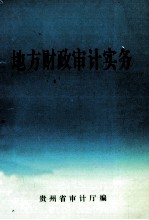 地方财政<em>审计</em>实务