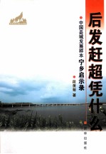 后发赶超凭什么  中国县域发展样本宁乡启示录
