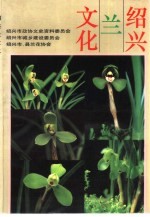 <em>绍兴</em>兰文化