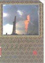 松辽盆地<em>石油</em><em>和</em>天然气勘查史  1949-1989