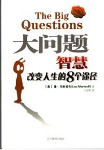 大问题  智慧改变人生的8个途径
