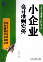 小企业会计准则实务  图解+精讲版