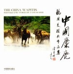 中国麋鹿 杨国美<em>摄</em>影作品集 中英文本 photography works by Yang Guomei