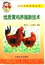 优质黄鸡养殖新技术