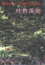 百县市经济社会<em>调查</em>吐鲁番卷