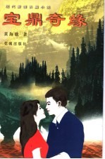 宝鼎奇缘  现代爱情长篇小说