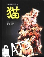 猫  音乐剧  英汉双语剧本