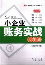 小企业账务实战步步通  图解版