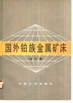 国外铂族金属矿床  论文集