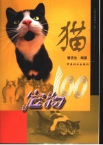 宠物100  猫