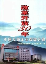 改革开放30年<em>中国</em>乡镇企业辉煌之路
