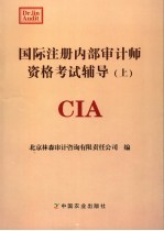 国际注册内部审计师资格考试辅导  上