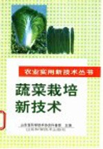 蔬菜栽培新<em>技术</em>