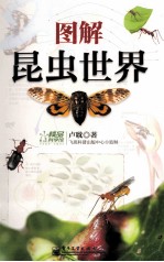 <em>图解</em>昆虫世界  <em>全彩</em>