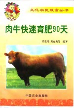肉牛快速育肥90天