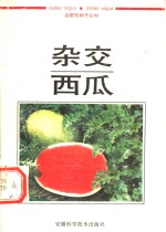 杂交西瓜