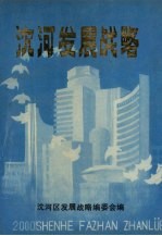 沈河发展<em>战略</em>