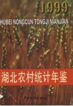 <em>湖北</em>农村<em>统计</em>年鉴  1999