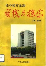 桂中城市金融实践与探索