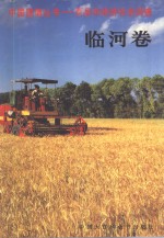 中国国情丛书  百县市经济社会调查  临河卷