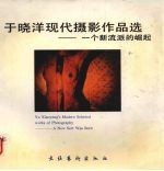 于晓洋<em>现代</em><em>摄影</em>作品选  一个新流派的崛起