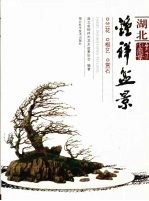湖北钟祥盆景  兰花·根艺·赏石