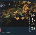 绿色的潮  刘秀晨中外景观采风