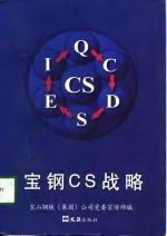 宝钢CS战略