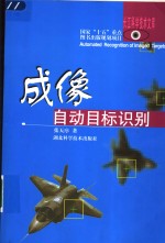 成像自动目标识别