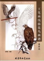 工笔画线描花鸟画谱  鹰隼篇