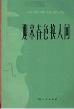 迎来春色换人间  小提琴独奏曲