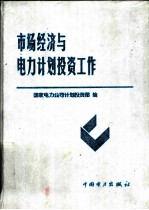市场经济与电力计划<em>投资</em>工作