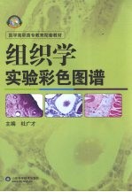 <em>组织</em>学<em>实验</em>彩色图谱
