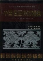 中国名医特技精典  名医专家与知名医师专病特治专集