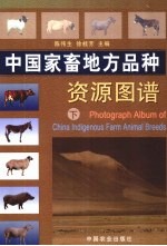 中国家畜地方品种资源图谱  下  中英文对照