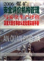 安全评价机构管理与安全生产评价及重大责任事故认定处理实施手册  第3卷
