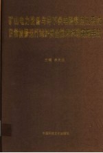 矿山电力设备与井下供电照明通讯<em>系统</em>日常检修运行维护<em>安全</em>技术标准实施手册  <em>第</em>2卷