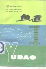 鱼道