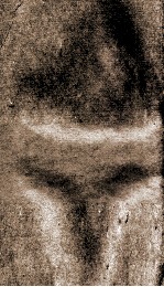 国朝耆献类徽初编  卷<em>289</em>-290