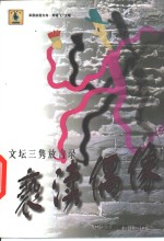 亵渎偶像  文坛三隽放言录