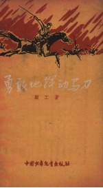 <em>勇敢</em>地挥动马刀